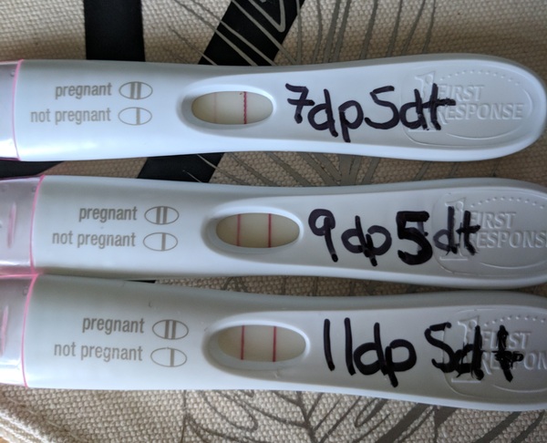 ICSI ivf.  Tested early. Am I pregnant?