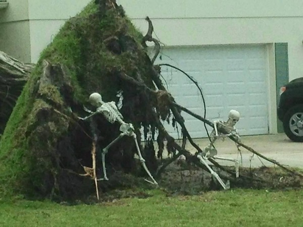 What has been your favorite Halloween decoration?
