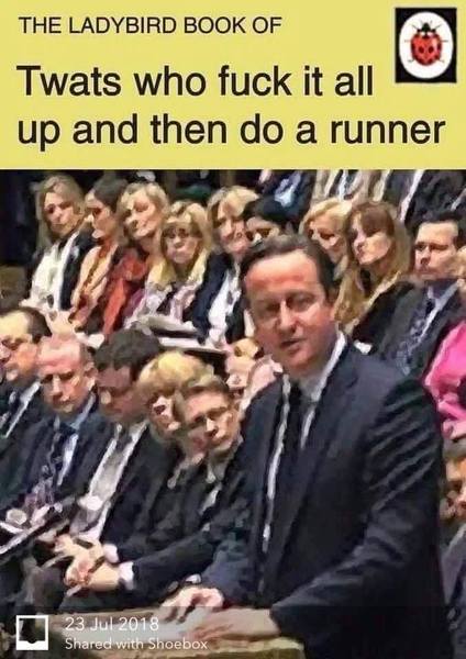 Westminstenders: Crisis. What Crisis