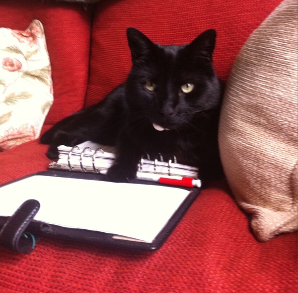 Westministenders: “No Deal is Better Than a Bad Deal?”