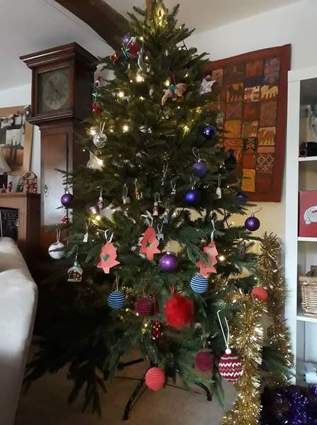Christmas Trees! Show me yours!