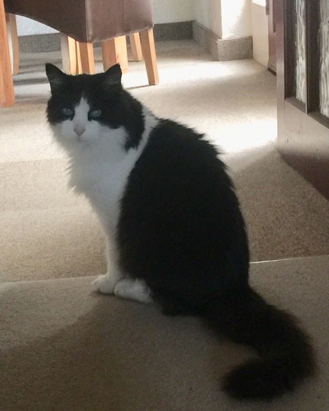 Swagger Inn 158 - Weather Turning Chilly - It’s Important To Layer Up - HBFs To The Rescue