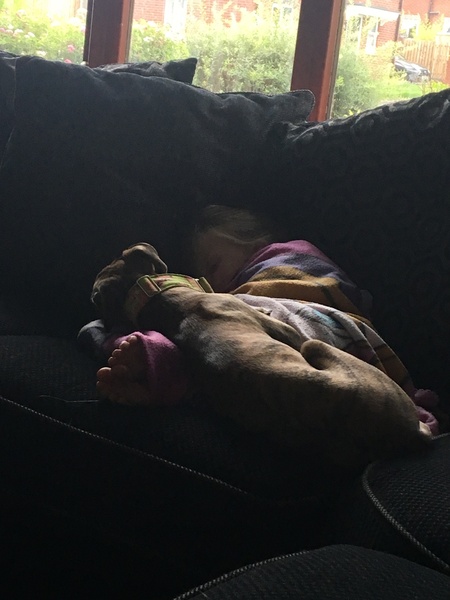 Puppy trying to kill 5 year old