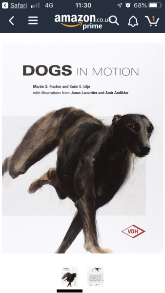 What to do when a dog attacks