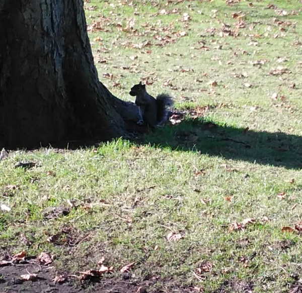 Westministenders: A Change of Mood