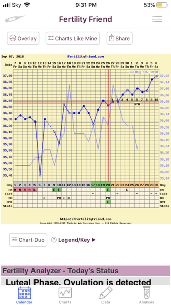 TTC after pregnancy loss - thread 26 - BFPs are coming!