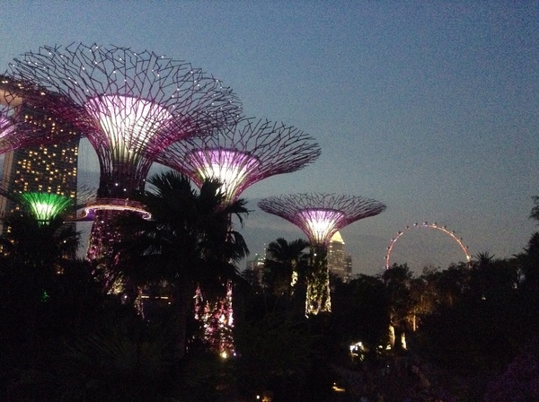 Singapore - hotel suggestions and ideas of things to do