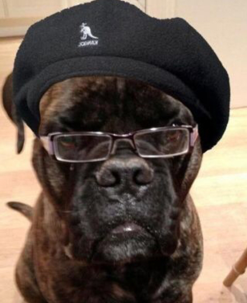 Tube passenger seen wearing blackface
