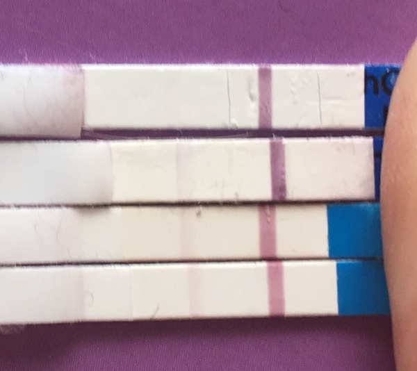 Pregnancy test question