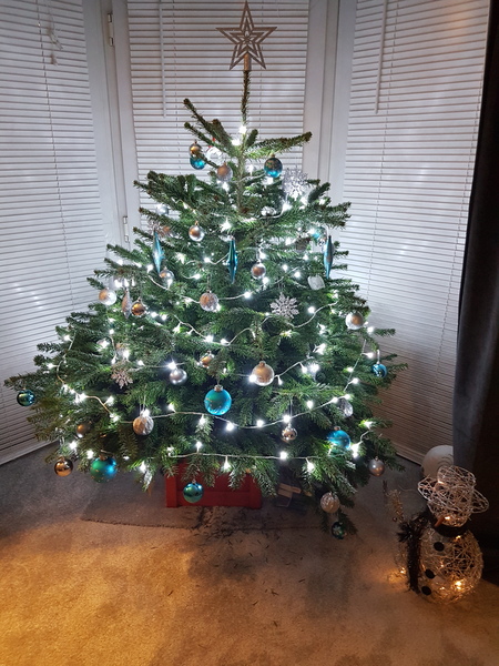 Christmas Trees! Show me yours!