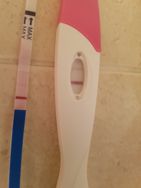 2 week wait