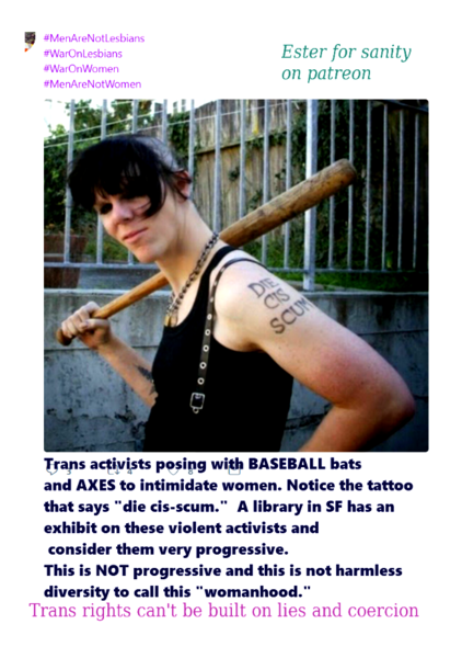 The ethos of trans activism (thoughts of a trans woman)