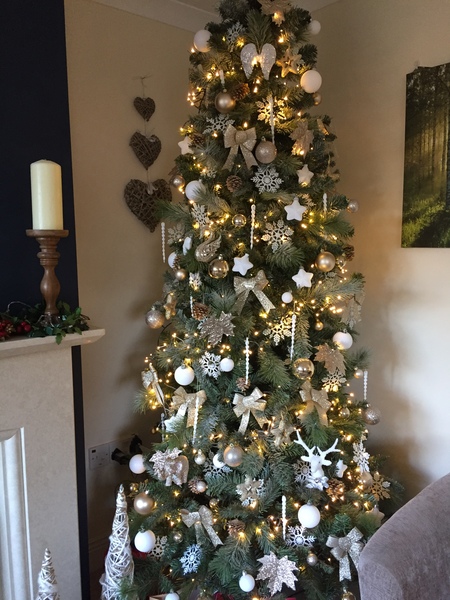 Christmas Trees! Show me yours!