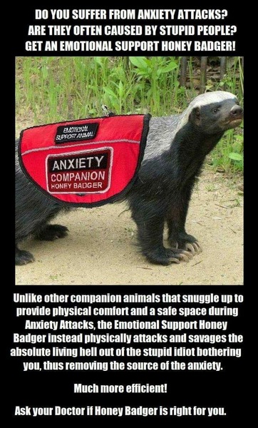 To ask what "emotional support animal" you would choose to bring on a plane (if allowed)