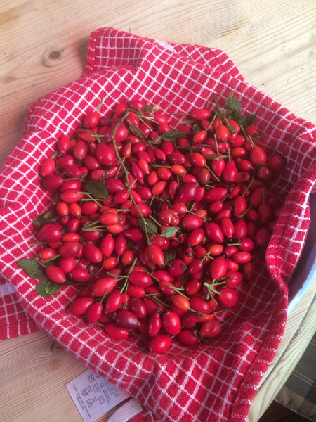 Any Witches Here ? Part 3