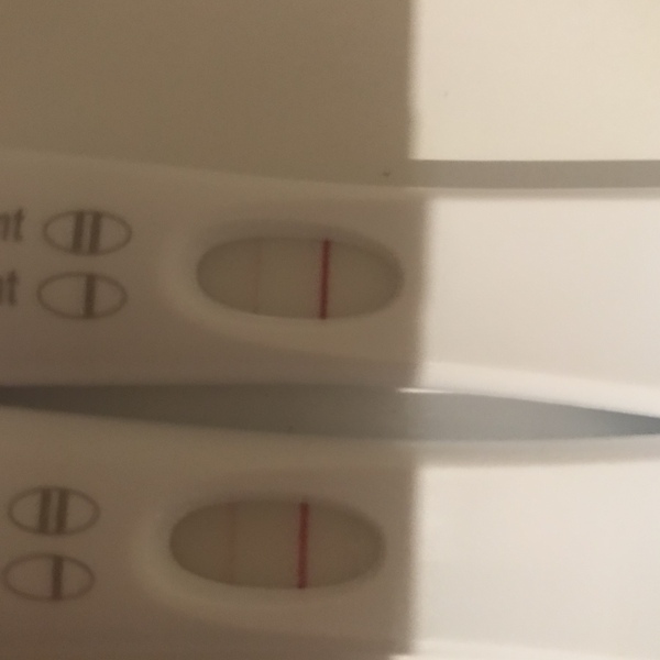 September/October IVF