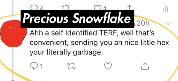 Stephanie Hayden takes Graham Linehan to court for doxxing