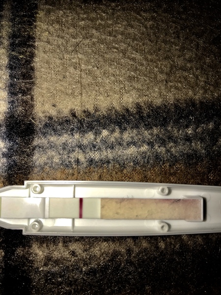 TTC after pregnancy loss - thread 26 - BFPs are coming!