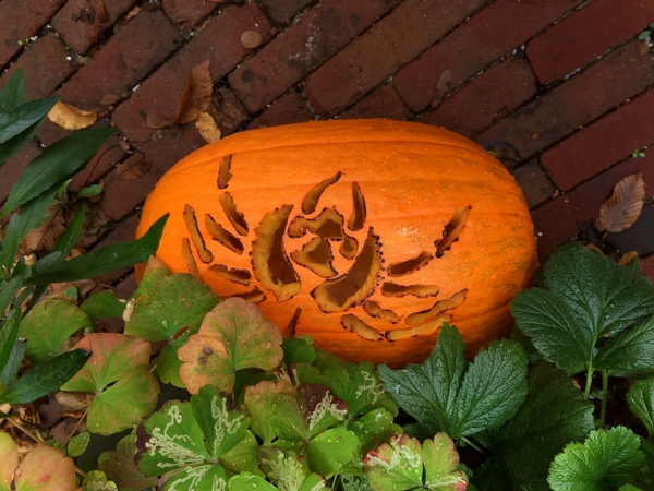 AaahhwoooooOOOOooOOOOo - it's the Halloween name change spooktacular!