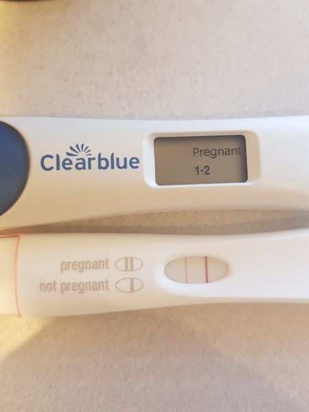 June 2019 - The Early Birds