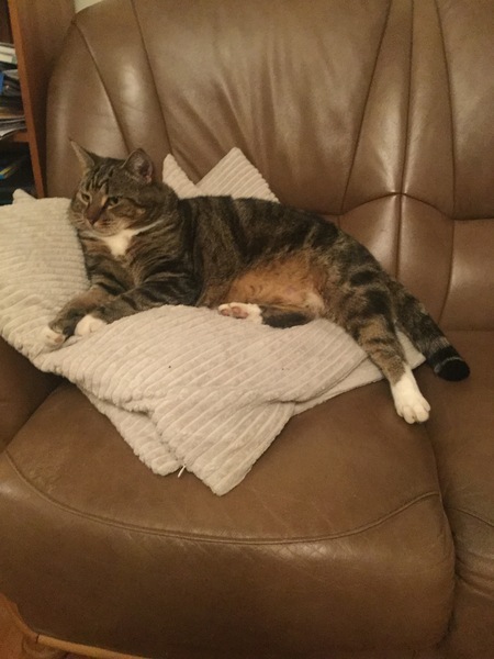 Does anyone else find themselves edged off the sofa?