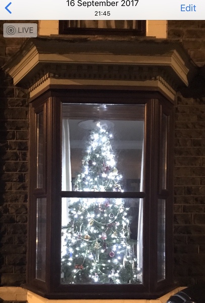 AIBU It's far too early for a Christmas tree!!!!