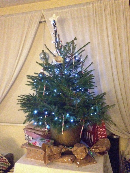 Christmas Trees! Show me yours!
