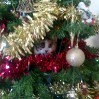 Cats and Christmas trees. Help!