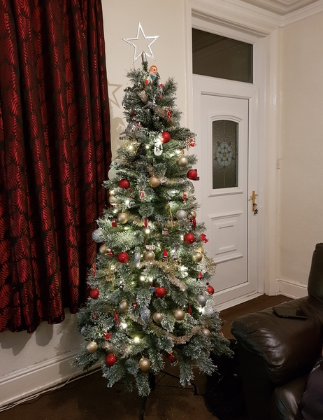 Christmas Trees! Show me yours!
