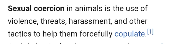 AIBU to be livid how dolphins are portrayed compared to how they are?