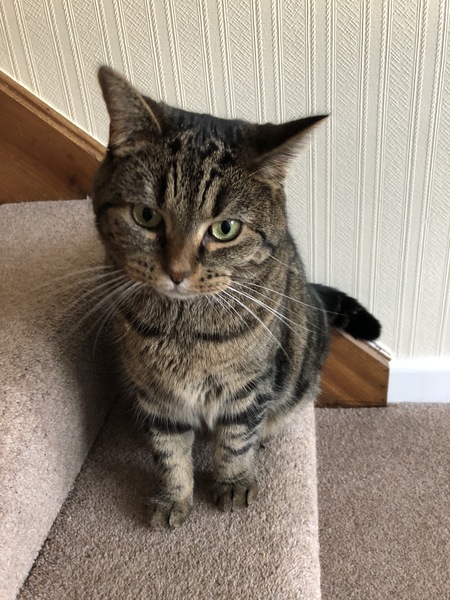 Scrimping through the remains of September, Austere Autumn approaching, frugal friendly 'Fred