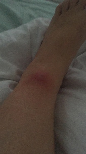 Due Feb 2019 - we’re halfway!