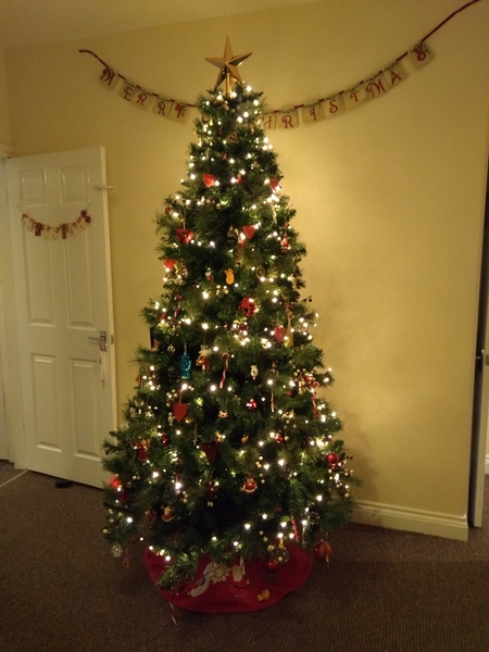 Christmas Trees! Show me yours!