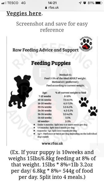 How much does raw feeding cost?