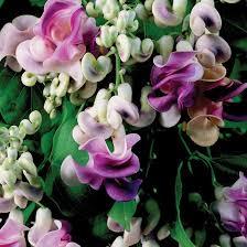 Getting rid of one thing a day decluttering challenge Part 5