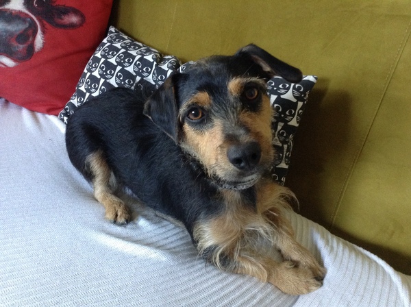 CANCER SUPPORT THREAD 65 - for anyone with cancer or waiting for cancer tests (pets welcome!)