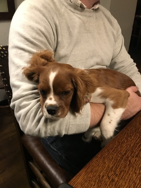 CANCER SUPPORT THREAD 65 - for anyone with cancer or waiting for cancer tests (pets welcome!)