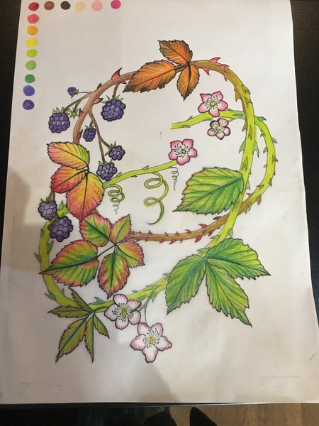 to get a tattoo at my age?