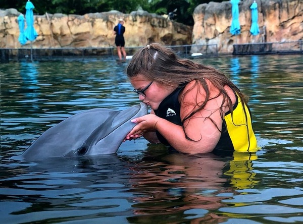 AIBU to be livid how dolphins are portrayed compared to how they are?