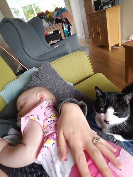 Show me your favourite pictures of your cats