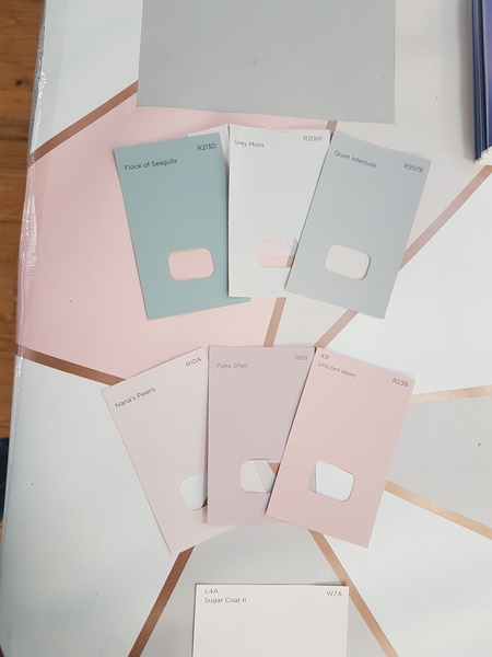 Paint colour help please