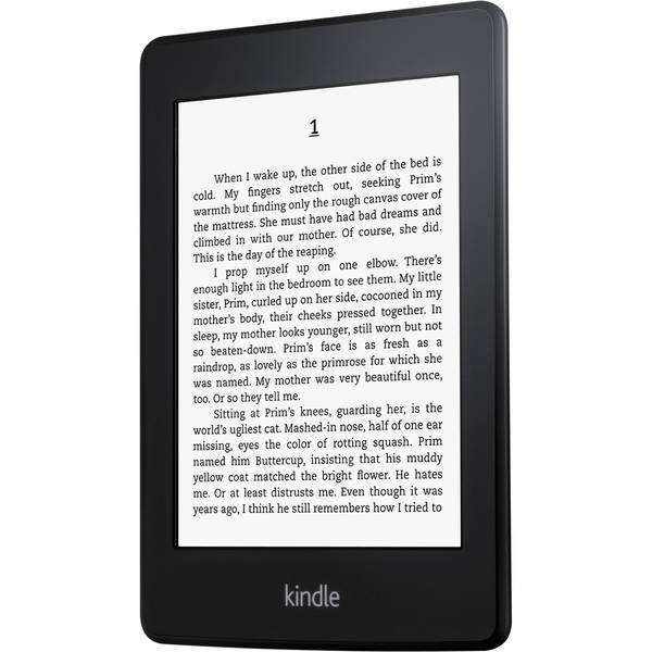Do you prefer a book or kindle?