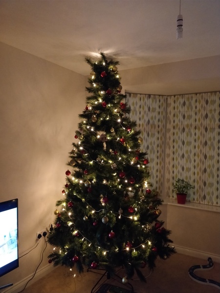 Christmas Trees! Show me yours!