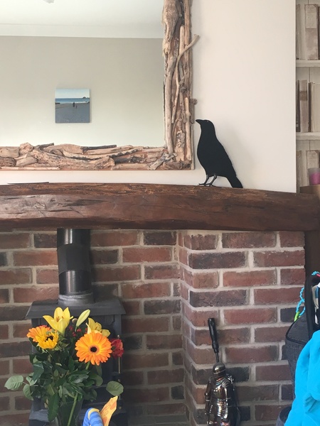 What can I buy from Argos for £4ish to win a bet?