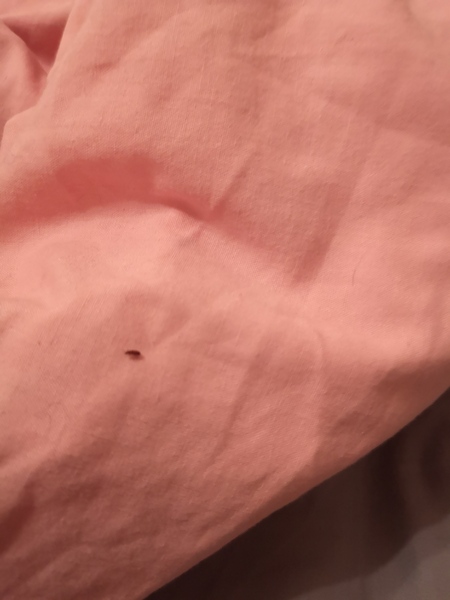 What is this??