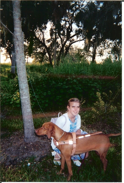 Can I just share a lovely picture of my crazy little Vizsla?