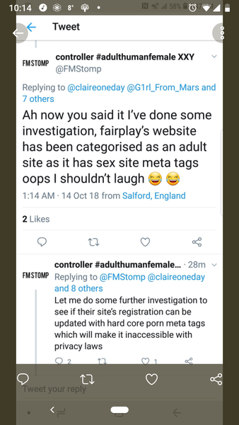 Why has fairplayforwomen.com disappeared?