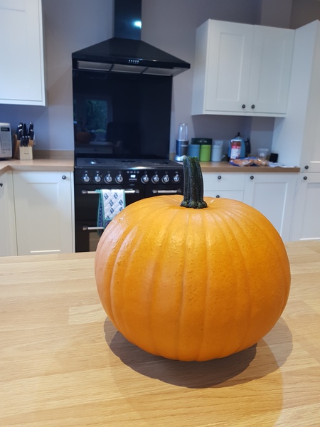 To ask you for your best pumpkin carving advice