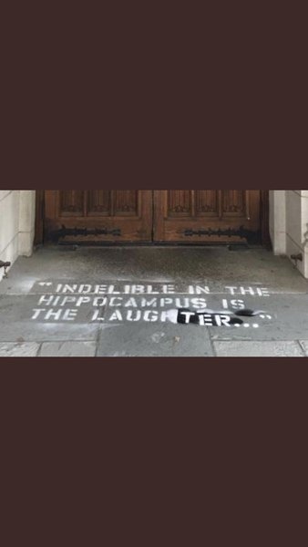 Couldn't think of a pithy quote so have this instead.  Trump #85