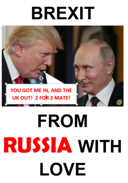 Help me with a protest sign for the Peoples Vote march